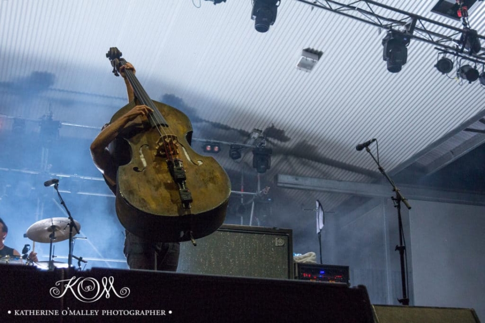 Scott Owen/The Living End @ Decades Festival. © katherine o'malley, 2015