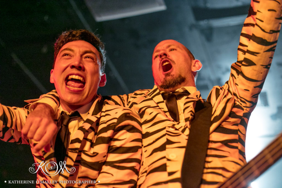 Regurgitator @ The Zoo. © katherine o'malley, 2016