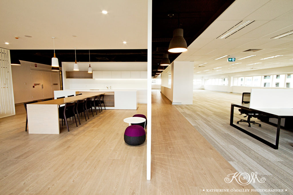 Spec Suites. Shot for ICMG &copy; katherine o'malley, 2014
