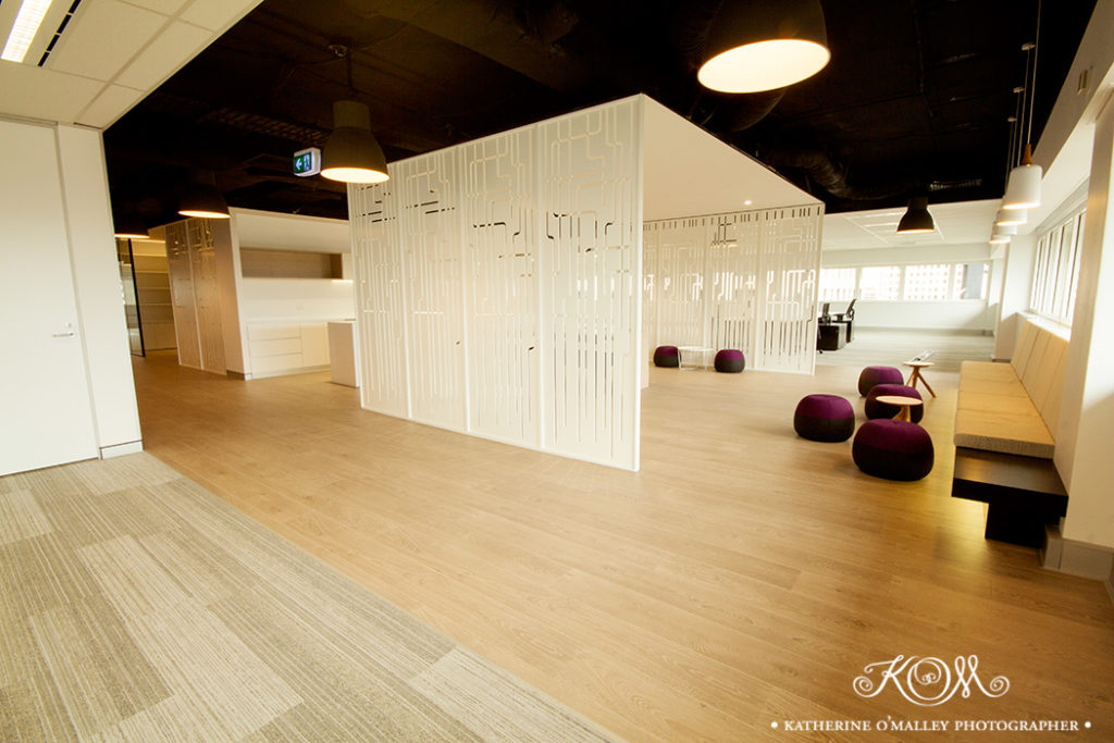 Spec Suites. Shot for ICMG &copy; katherine o'malley, 2014